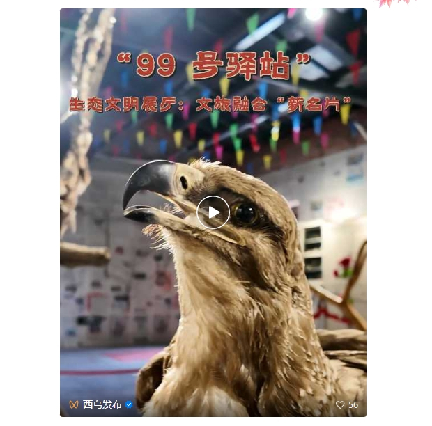 微信截图_20241203090738 (2).jpg 微信截图_20241203090738 (2).jpg